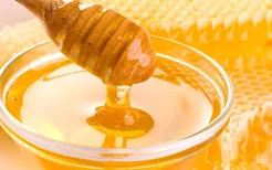 哪些食物能够排毒养颜？海带和蜂蜜是很好的排毒养颜食物