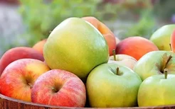 为什么女性必须要吃苹果？给你吃苹果的五个理由