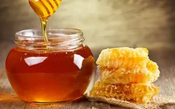 蜂蜜和醋减肥的正确方法,蜂蜜水最快减肥的秘籍