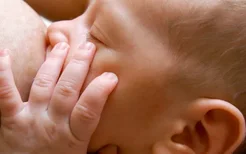 试管婴儿的基本原理是什么？试管婴儿的成功率有多大？