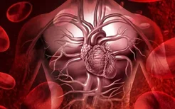 如何预防心脑血管疾病？心脑血管疾病的常见种类有哪些？