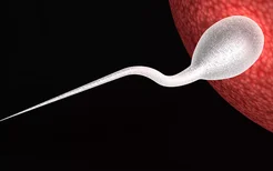 哪些精液异常会导致男性不育？四种精液异常可引起男性不育