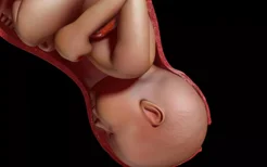成年人身高和胎儿期发育有关系吗？,胎儿期发育不良会有什么影响？