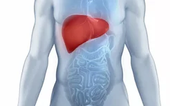 脂肪肝的主要危害是什么？严重引起大出血