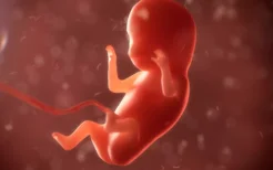 B超能检查胎儿畸形吗？B超可以检查哪些常见的胎儿畸形？
