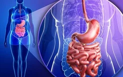 肠息肉的症状表现是什么,肠息肉的早期症状是什么
