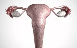 HPV感染是宫颈癌的高风险因素，学会在生活中预防宫颈癌