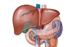轻度脂肪肝千万药重视,不治疗可能发展成不可逆肝损伤