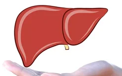科学饮食辅助脂肪肝逆转5大药物辅助脂肪肝