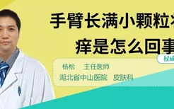 手臂长满小颗粒状很痒是怎么回事