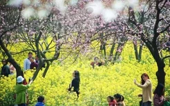 春天外出踏青注意事项 花草虽美小心有毒