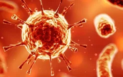 新冠状病毒和德尔塔病毒有什么区别？
