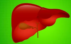 脂肪肝对身体的危害很大,可以治疗脂肪肝