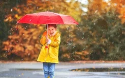 雨伞去污小诀窍你不知道的雨伞保养小技巧