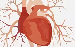 心律失常的常见症状是什么？