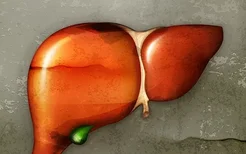 营养不良也会导致脂肪肝？脂肪肝的诱发原因是什么？