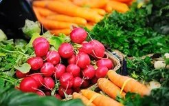 缺乏维生素B12有什么危害？多吃深色蔬菜能补充维生素B12吗？