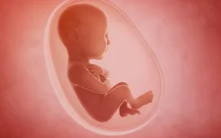 怀孕期间的饮食禁忌有哪些？哪些食物会损害胎儿健康？