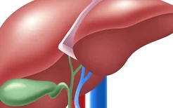 肝脏不好的表现是什么？做好这3点有效保护肝脏