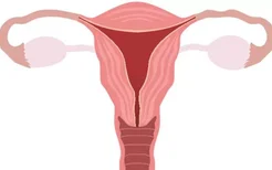 晚期宫颈癌会侵犯膀胱吗？子宫颈癌的危害是什么？