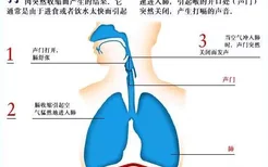 打嗝不止怎么办？打嗝偏方