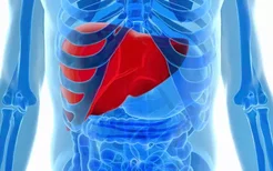 糖尿病会诱发脂肪肝并发症吗？哪些因素可能导致脂肪肝的形成？