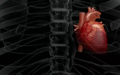 心律失常与早搏有什么区别？早搏属于心律失常的一种吗