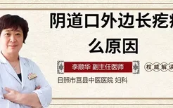 阴道口外边长疙瘩什么原因