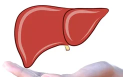 脂肪肝治疗的几个原则,如何保持健康？