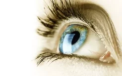 夜盲和色盲的区别是什么？普通人的眼睛为什么能辨别出各种颜色
