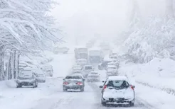 大雪节气哪些食物可以有效进补,大雪养生必吃三种食疗