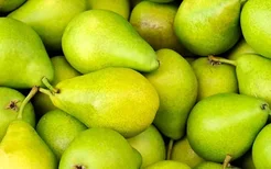 达人最强苹果减肥法是什么?,教你2大食谱吃出S身材