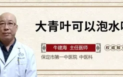 大青叶可以泡水喝吗