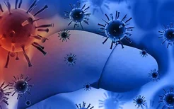 新冠病毒变异后有哪些特征？如何预防变异后的新冠病毒？