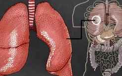 身体出现这四个异常多是肺求救要警惕肺癌