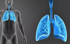 治疗肺癌的目标药物是什么？各有什么特点？