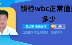 镜检wbc正常值是多少