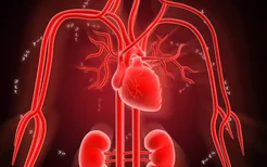 心肌酶高是怎么回事？