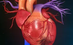心脏二三尖瓣逆流的原因是什么？