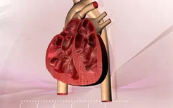 发热性心肌炎的症状是什么？